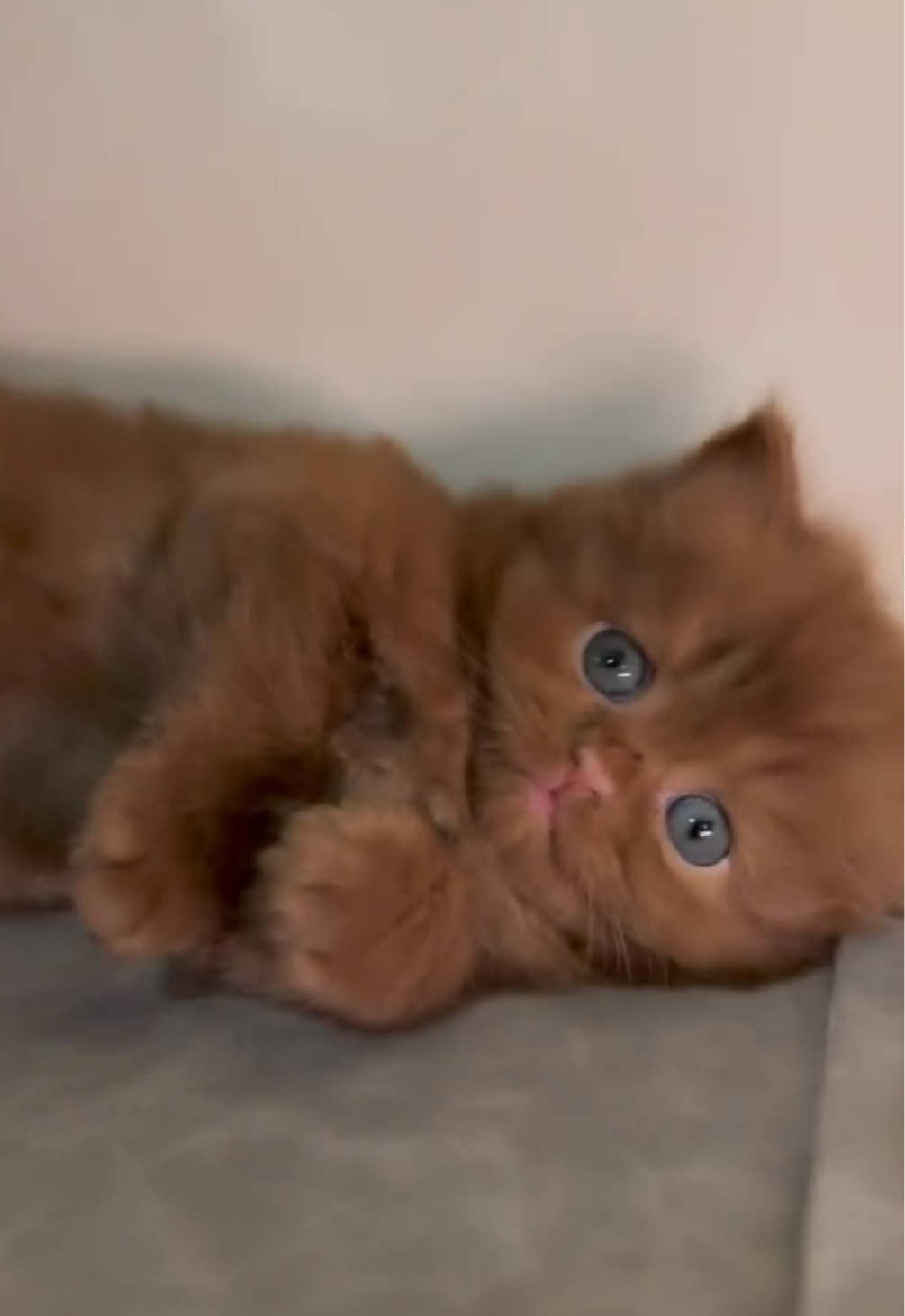 😍😍😍