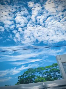 আমি এক অবহেলিত মানুষ, যায় কোন মূল নেই, কারন আমি সবার প্রতি বেশি আগ্রহ দেখায় তাই মানুষ সস্তা ভেবে অবহেলা করে!