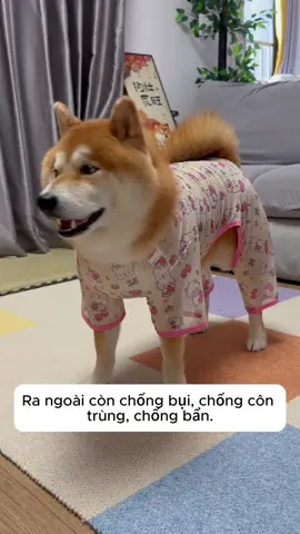Áo thun 4 chân mát rượi cho cún #quanaochomeo #quanaothucung #aochomeo #pet #thucung 