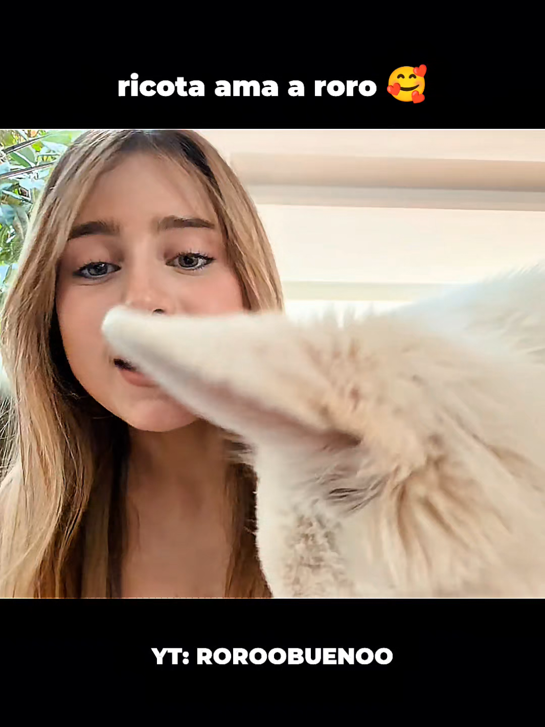 roro habla de ricota 🐕 @RoRo  #roro #rorobueno 