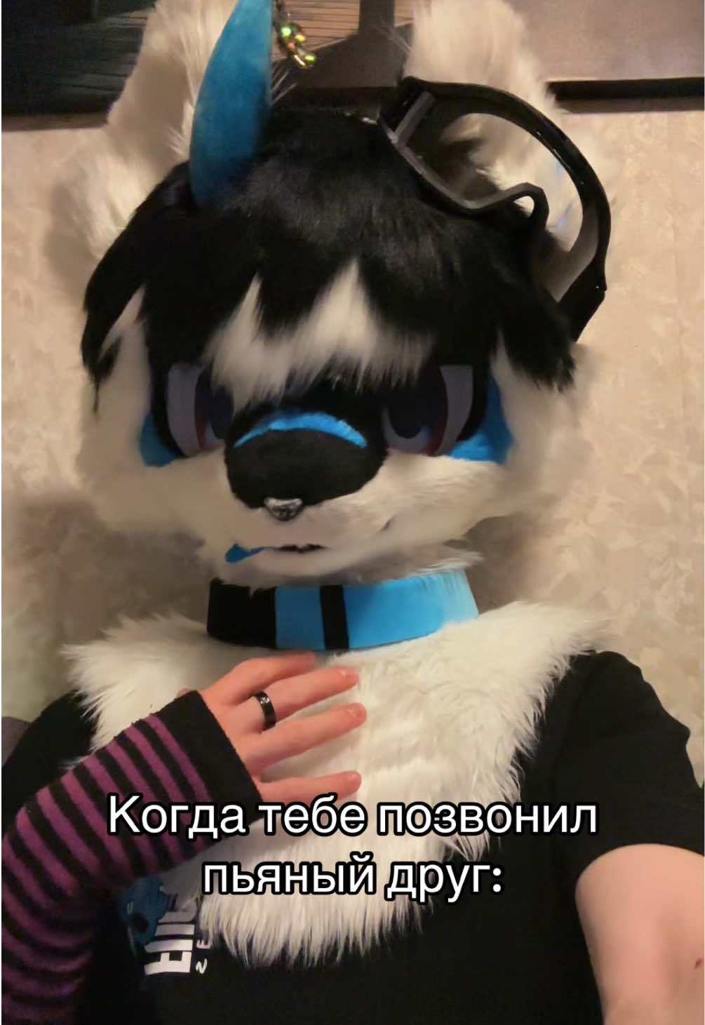 Даже хз как комментировать #фурриприкол #фурримемы #фурсьютер #фурри #фурритоп 