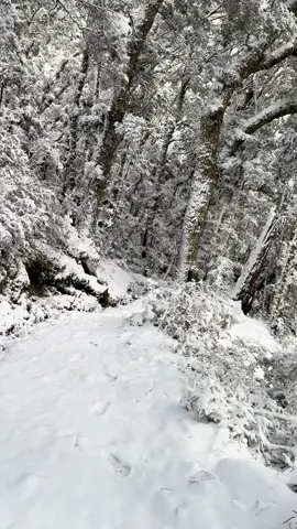 #mountains #Hiking #snow #view 