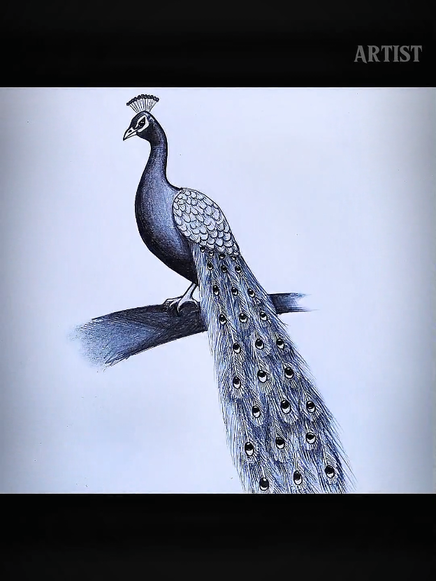 How to Draw a peacock 🦚 , easy drawing step by step ✏️🎨 #Arttips #USA #drawingtutorial #creativity #artcommunity 