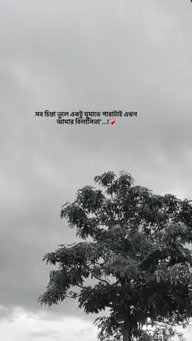 এখন সব চিন্তা ভুলে একটু ঘুমানোই আমার বিলাসিতা🥲 #you #bdtiktokofficial #foryoupage #sadvibes🥀 #tending 