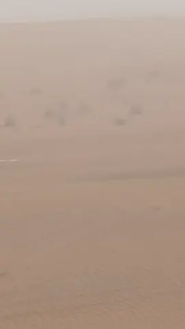 🖤جلا.وطن گرو 🩶