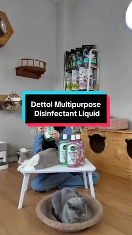 1 botol perlbagai kegunaan..Makpak bulus tak payah nak pening2 dah lepas ni☺️☺️ @Dettol Disinfectant Store 