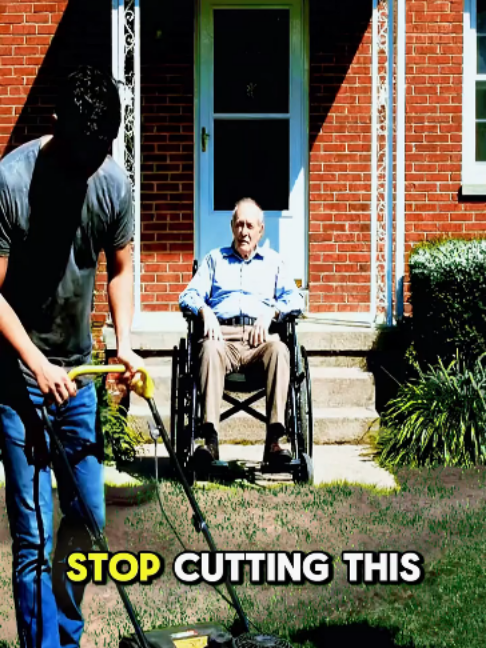 1 (1008) #lawnmower;#mowing;#mowingthelawn;#cleaning;#storylife