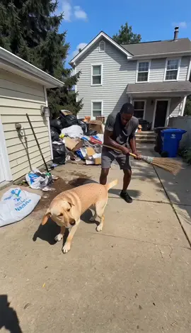 It's on sale right now, c feels like you should get it for your pet.#fyp #tiktok