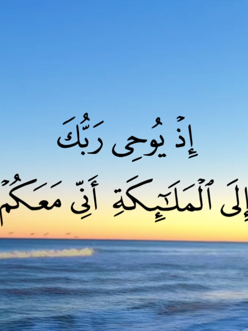 ﴾إِذْ يُوحِي رَبُّكَ إِلَى الْمَلَائِكَةِ أَنِّي مَعَكُمْ فَثَبِّتُوا الَّذِينَ آمَنُوا ۚ﴿ [ الأنفال: 12] #قرآن #المنشاوي 