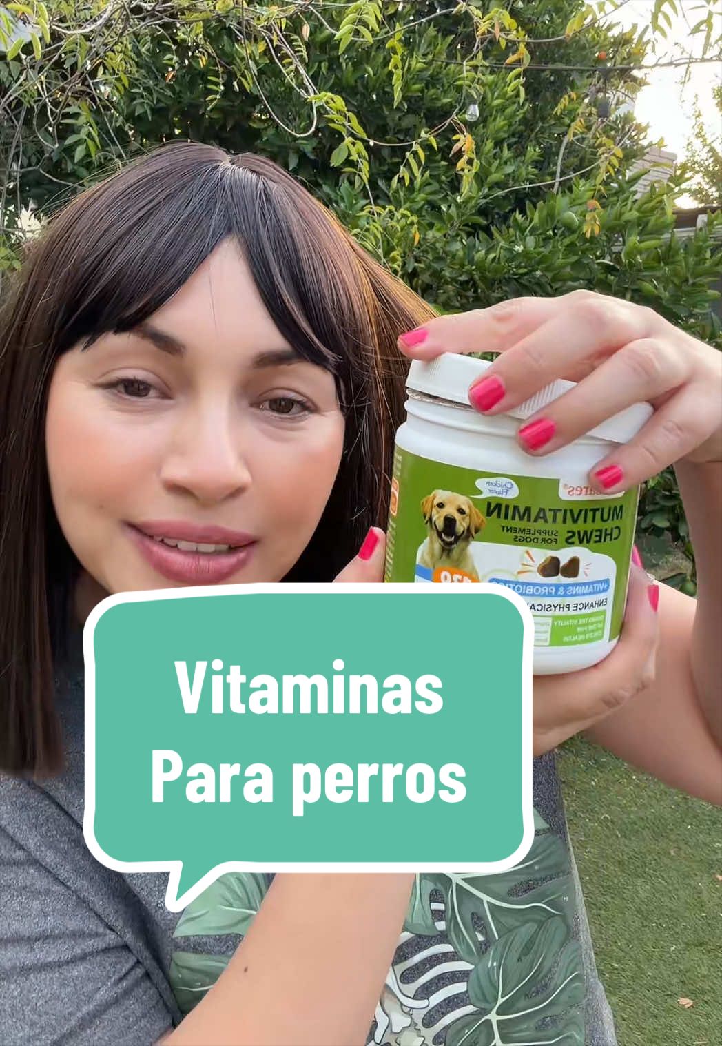 Multivitaminas para perros 