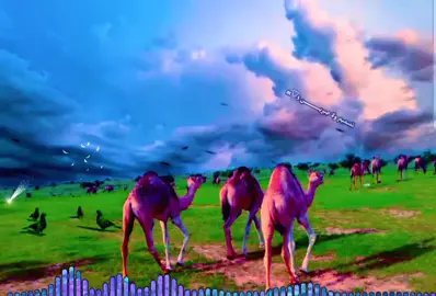 #مشاهدات #مليون_مشاهدة #مشاهير_تيك_توك_مشاهير_العرب 