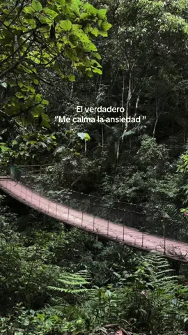 ❤️‍🩹✨ #amazonas #fyp #pazmental #Hiking #gocta 
