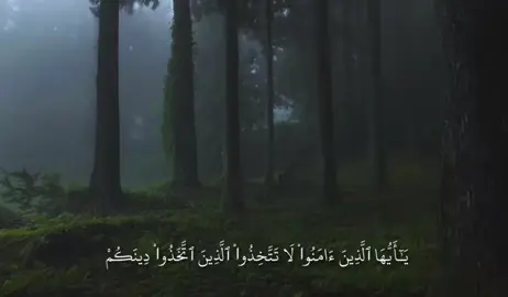 #قران_كريم #muslimahhijrah #quran_alkarim #quranvideo #explore 