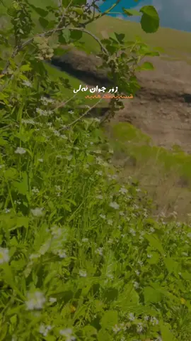 روژاني خوش نا گرينه وه #🥹