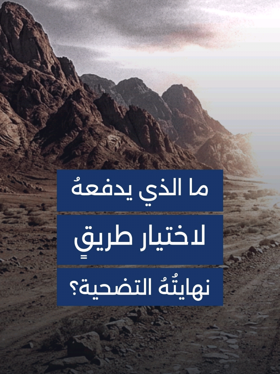 الإمامُ زيدٌ 
