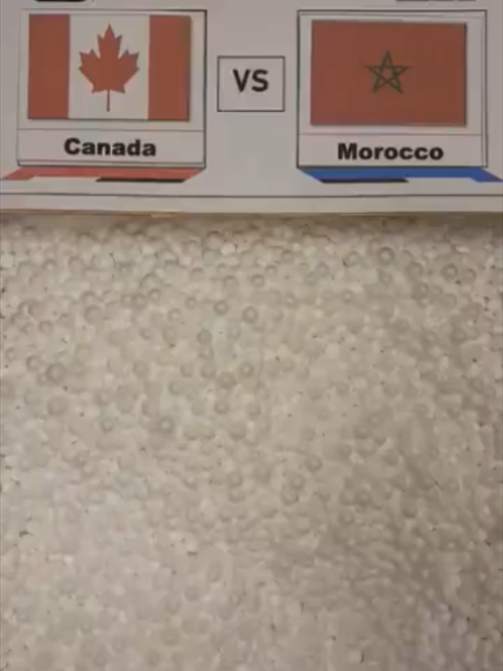 Canada vs Morocco (0-3)