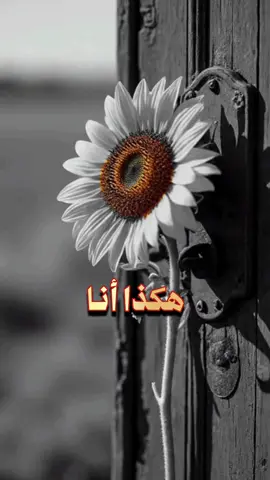 لا اكره من يكرهني انما اأشفق عليه 🤣