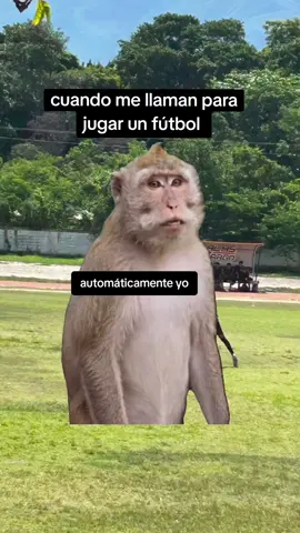 cuando llaman a la bestia 🫣🧃#amoelfutbol⚽️❤️ #Meme #MemeCut #CapCut 