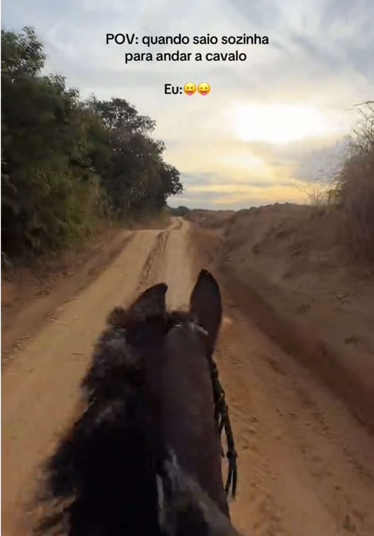😜 || #foryou #horses #cavalos #fyp #equestriangirl 