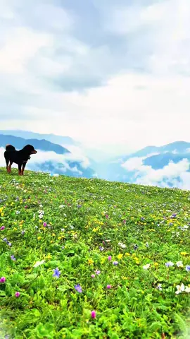 Chaurikharka ⛰️⛰️⛰️ Buki Rukum  #rukum #buki #ChaunreeBuki #chaurikharka #monsoon 