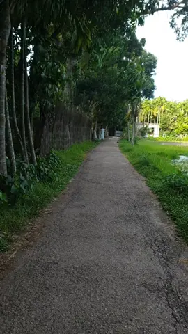 নিজ এলাকা 🌸