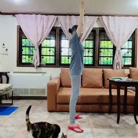 Overhead Squat (OHS) เป็นท่าออกกำลังกายที่เน้นการบริหารกล้ามเนื้อขา แกนกลางลำตัวและหัวไหล่ไปพร้อมกันค่ะ 💪💃✨ #ตุ๊กเดือนเต็ม  #แก่อย่างมีคุณภาพ  #เทรนด์วันนี้  #ขยับเท่ากับออกกําลังกาย  #ถุงเงินแมวสามสี