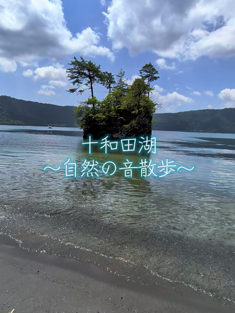 鳥のさえずり、波の音。自然の癒しをお届けします😊十和田湖をお散歩している気分になれるかな👀？#十和田湖 #散歩#自然