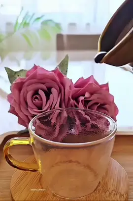 صباح الخير 