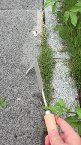 #tiktok #tiktokmademebuyit #magictools #concretecrevicetool 