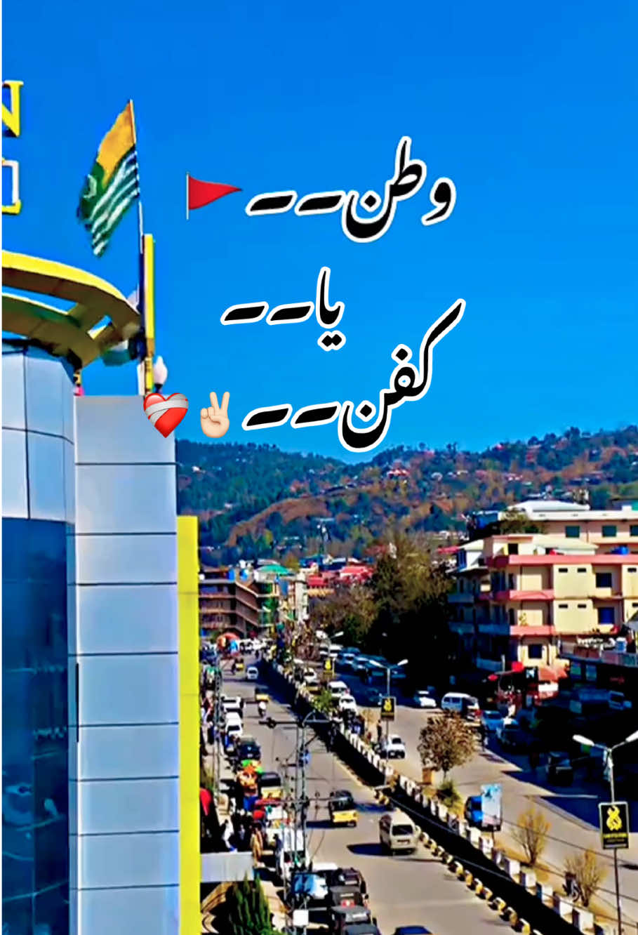 Kashmir flag video 🚩✌🏻 watan ya kafn🥹💔 #foryou #kashmirwithstand #kashmir #unidetkingdom🇬🇧 #iam_kashmiri2
