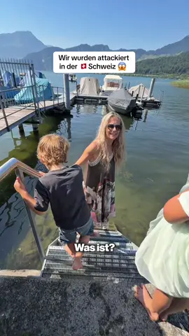 Pirañas im Vierwaldstättersee? 😱