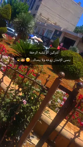 #بنت_ابو_اسنينة🙂‍↔️💫 #بنت_الخليل🖤 