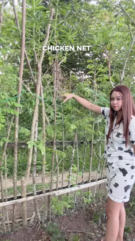 Chicken Range Net high quality!  #rangenet #rangenetforchicken #chickenrangenet #chickennet #netforchicken 