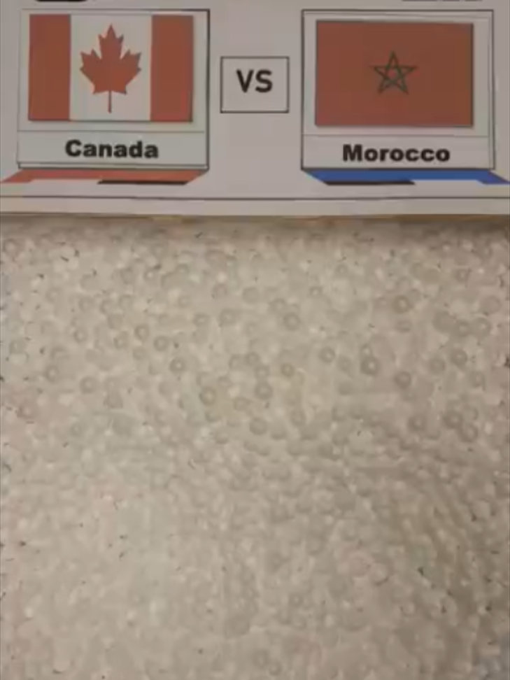 Canada vs Morocco FT (0-3)