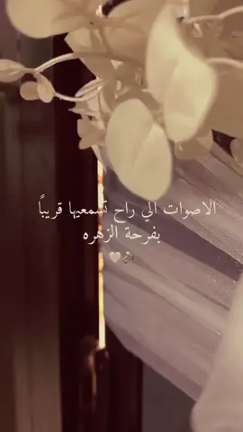 امين يا ابو فاضل العباس 🥺🤲🏻 #دخيلك_ياابوفاضل 