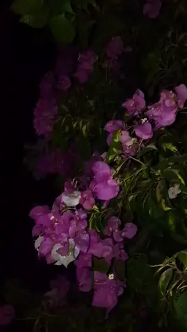 سب سے بدصورت اور گھٹیا رویوں میں سے ایک یہ ہے کہ کسی انسان کا مذاق اُن چیزوں کی بنیاد پر اڑایا جائے جن کے انتخاب میں اُس کا کوئی کردار ہی نہ ہو۔ جیسا کہ کسی کا چہرہ، رنگ، قد، گھر کا ماحول، والدین کا پیشہ یا پیدائشی حالات #creatersearchingsight 