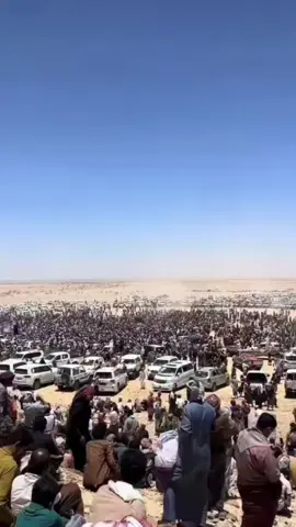 يماني حر عز يا مال العز القبائل تحشد #اليمن🇾🇪 #حشد قبلي#حمد_بن_فدغم_الحزمي_الدهمي 