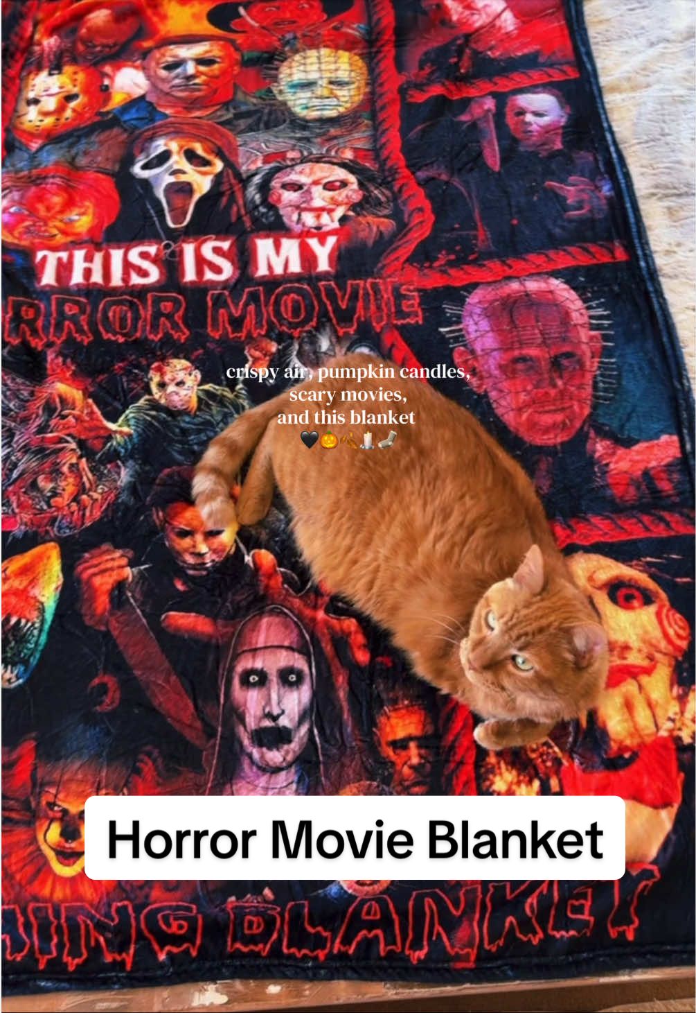 popcorn and apple ciderrrr 🍿#spookyseason #halloweenblanket #horrormovies #cozyseason #fallblanket 