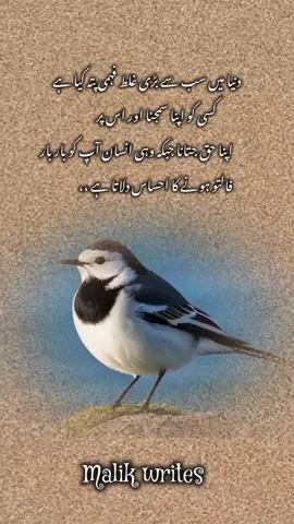 it's true 💯#creatorsearchinsights #urdupoetry #fypシ #foryoupage #viraltiktok 