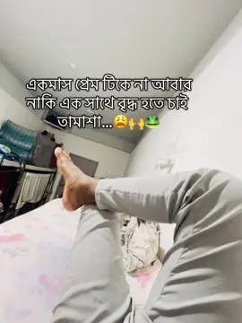 #saudiarabia🇸🇦 #bangladesh🇧🇩 #ksa #ryadh🇸🇦 #প্রবাসী 