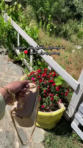 #متابعه_ولايك_واكسبلور_احبكم 