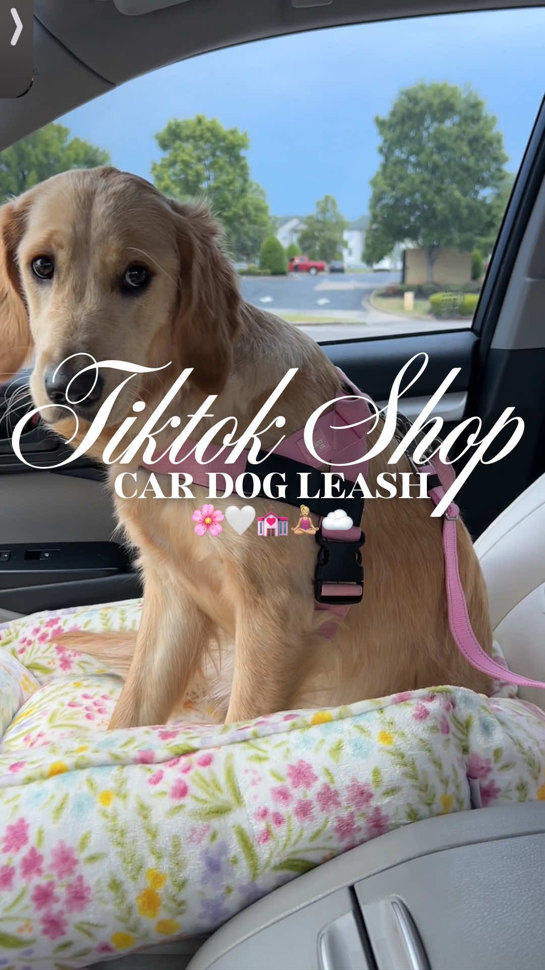 Car dog leash 🌸🤍💒🧘🏼‍♀️☁️#fyp #dogtravel #dogessentials #dogleash #dogharness 