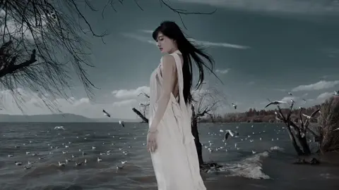 Thương em một cô gái quá nhiều vết thương lòng... #winmedia #nhachaymoingay #lyrics #09th02_8 #xuhuong 