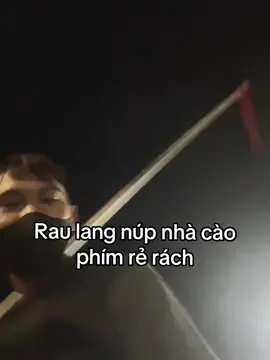 #10vinhphu 