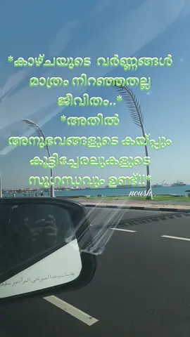 *കാഴ്ചയുടെ  വർണ്ണങ്ങൾ മാത്രം നിറഞ്ഞതല്ല ജീവിതം..* *അതിൽ അനുഭവങ്ങളുടെ കയ്പ്പും കൂട്ടിച്ചേരലുകളുടെ സുഗന്ധവും ഉണ്ട്!!* എല്ലാവരോടും സ്നേഹം മാത്രം ❤️#familytime #family #ഖത്തർമലയാളി #പ്രവാസിമലയാളി #pablic 