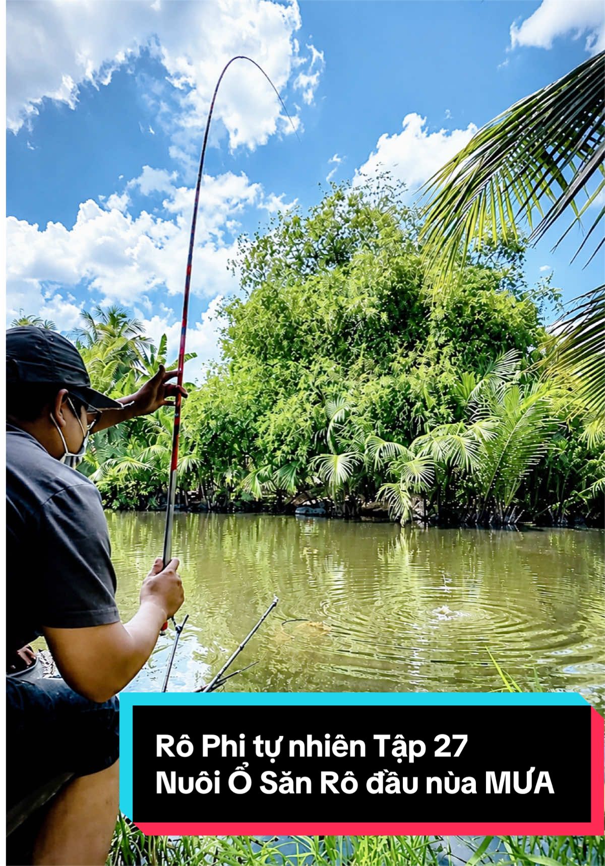 Câu Rô Phi tự nhiên Tập 27 / S.ă.n Rô Phi Mâm đầu mùa mưa ! #creatorsearchinsights #mồicaukimlong #cauca #VàmCỏQuêTôi #câucárôphi 
