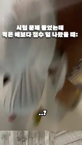 시험 문제 풀었는데 찍은 애보다 점수 덜 나왔을 때: