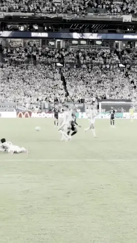 عينكم على باريديس اقسم بالله رجاال كل انبراشه احتفلت فيها كأنها هدف  #fyp #argentina #worldcup #messi 