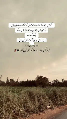 اگر اس دنیا کے سارے اندھوں کو آہیں دے دی جائیں تو بھی اس دنیا میں دو اندھے بچیں گے ایک تم۔۔۔ جسے کبھی میری محبت نظر نہیں آئی اور ایک میں۔۔۔ جسے کبھی تمہارے سوا کچھ نظر نہیں آیا۔ 🖤🥀#foryoupage #fyppppppppppppppppppppppp #100kviews #بادشاہ صاحب ❤️‍🩹🍂