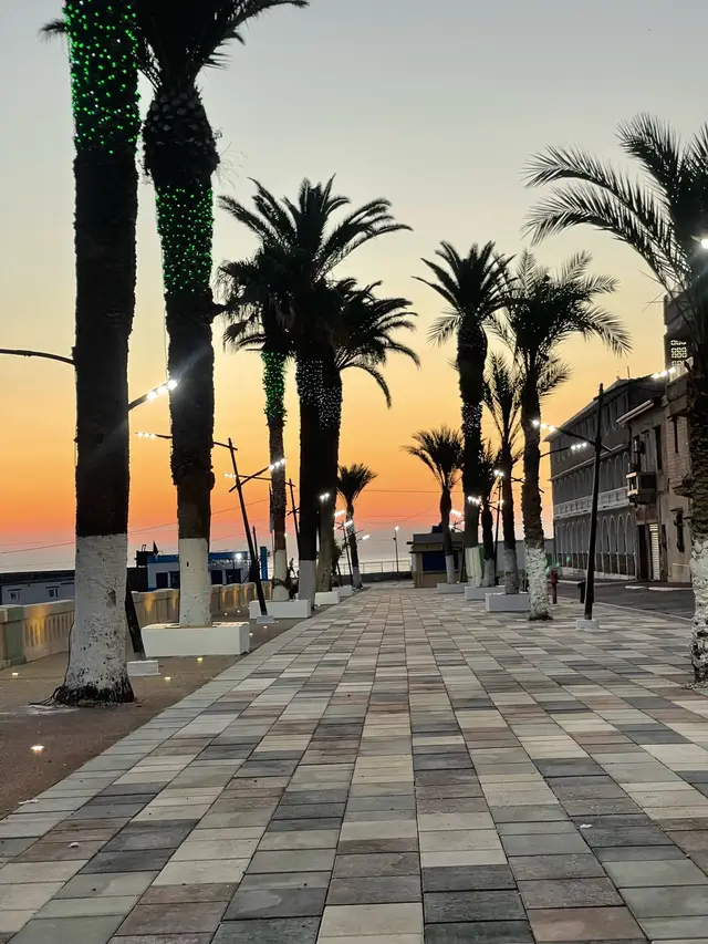 #elkala_algeria🇩🇿🇩🇿🇩🇿🇩🇿 #القالة #fyp #foryou #foryoupage 